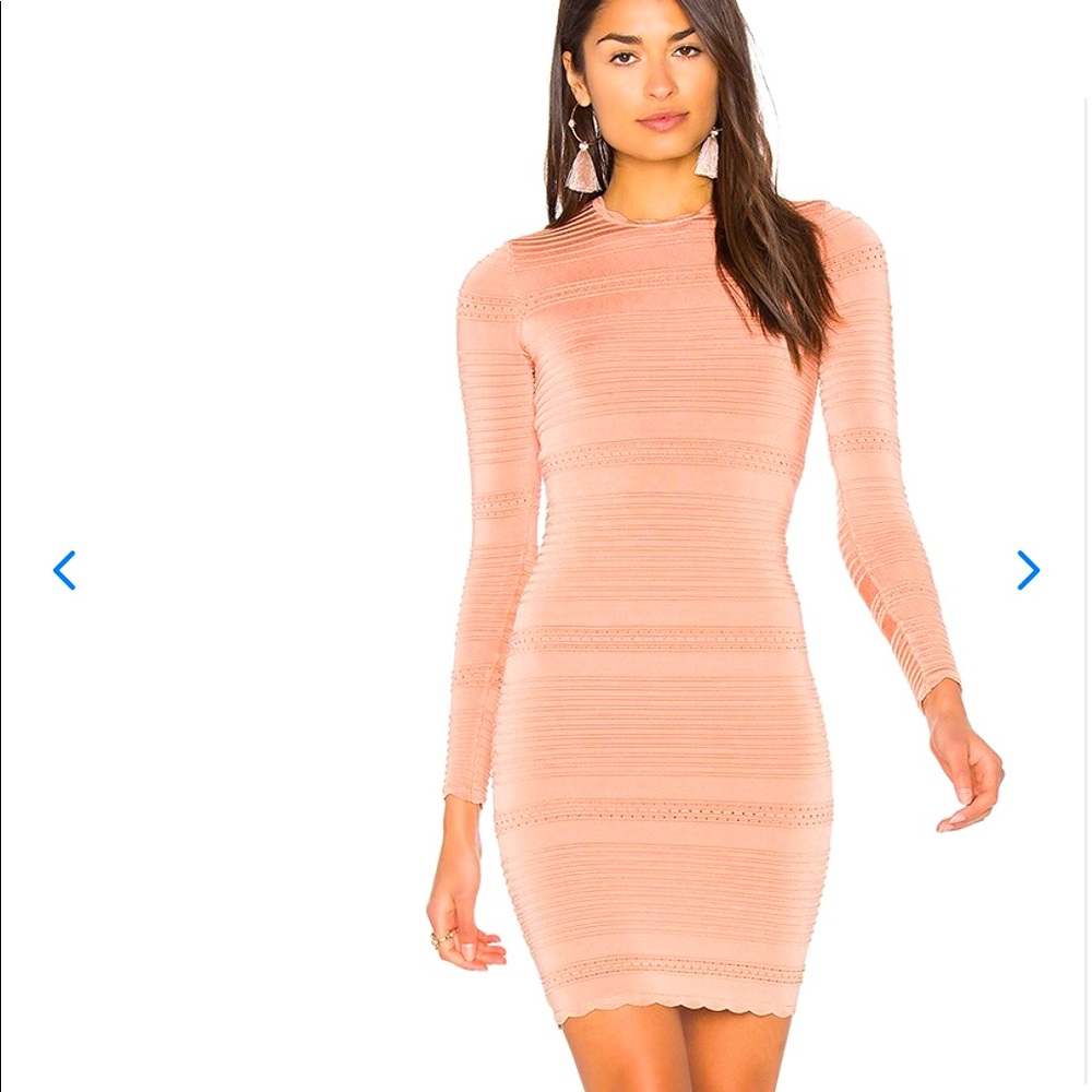 NEW! ARC Moss Dress in Blush size S/ Petite